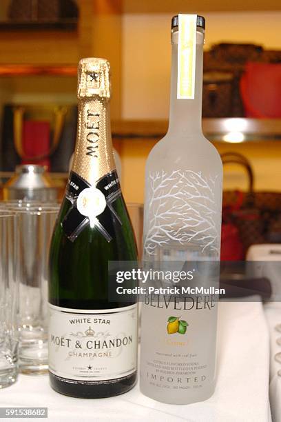 Atmosphere, Moet Champagne and Belvedere Vodka attend LOUIS