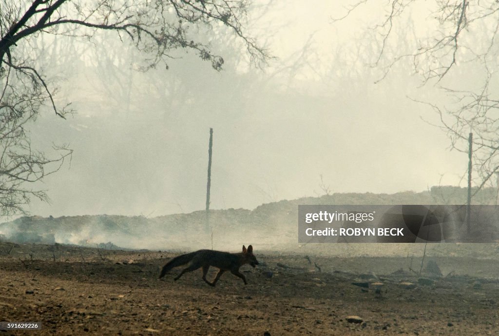 US-WEATHER-FIRE-CALIFORNIA