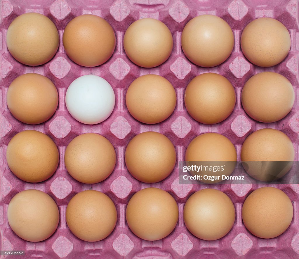 White egg with large group of brown eggs, full fra