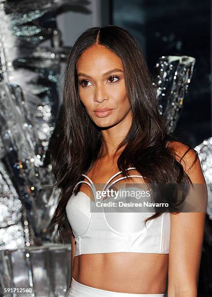 Model Joan Smalls attends W Hotels party to celebrate the opening of W Dubai at The Glasshouses on August 17, 2016 in New York City.