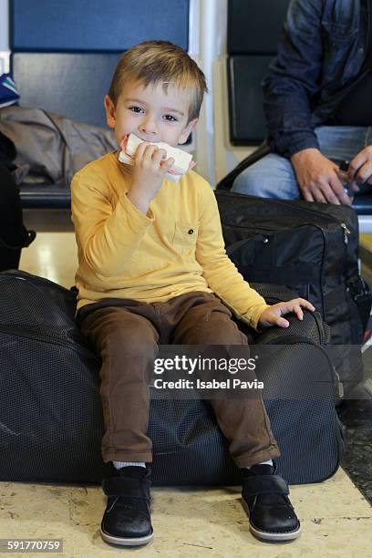 boy eating sandwich - bruselas stock pictures, royalty-free photos & images