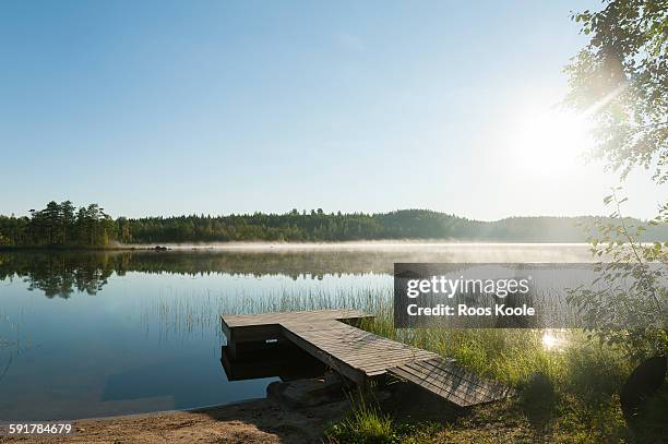 view on a lake in eastern finland - finland summer stock pictures, royalty-free photos & images