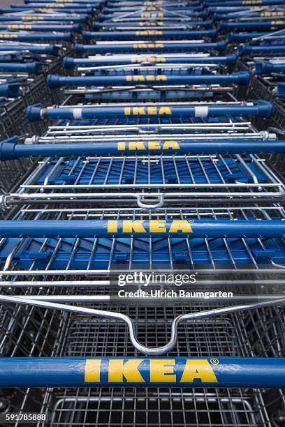 Filiale of the Swedish furniture house IKEA in Cologne. The photo shows IKEA-logos on shopping carts.