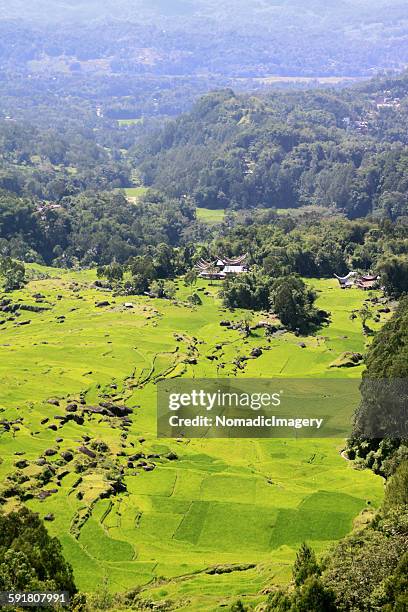 lush toraja landscape sulawesi - toraja stock-fotos und bilder