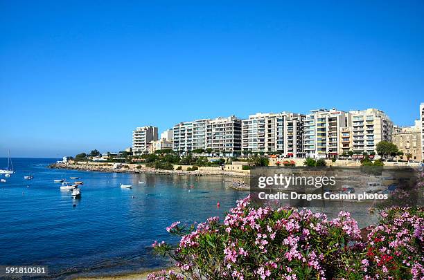 spinola bay in st julians valletta - st julians bay stock pictures, royalty-free photos & images