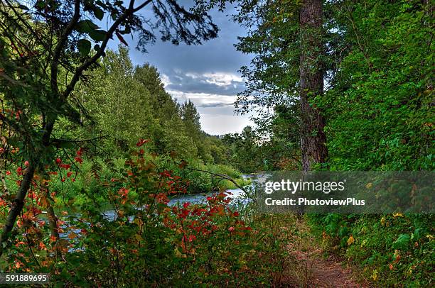 A Glimpse Of The River, Stock-Foto