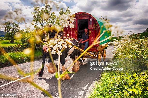 gypsey's travelling towards the appleby horse fair, near kirkby lonsdale, cumbria, uk. - entourage stock pictures, royalty-free photos & images