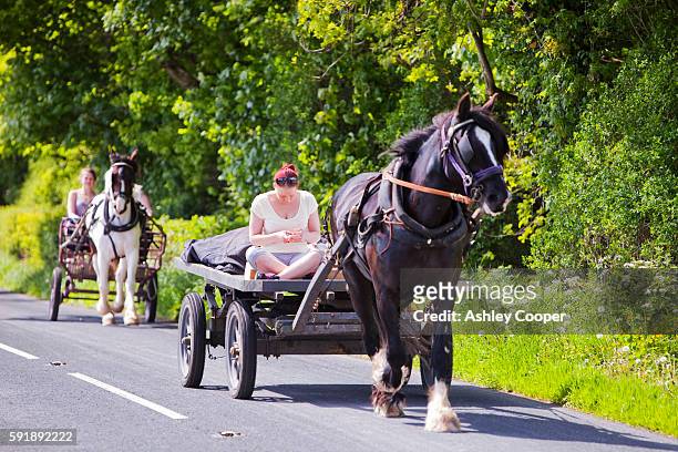 a gypsey travelling towards the appleby horse fair on a horse and trap, checks her mobile phone near kirkby lonsdale, cumbria, uk. - entourage stock pictures, royalty-free photos & images