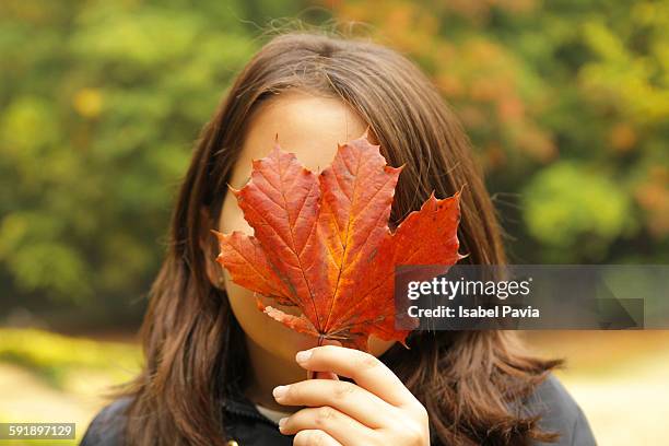 girl holding autumn leaf in front of her face - bruselas bildbanksfoton och bilder