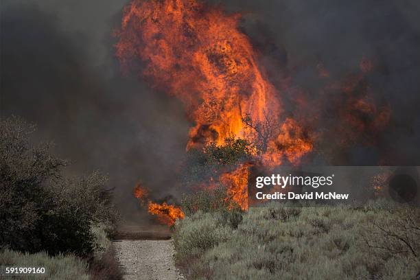 Large flames block the road ahead in a remote section of the San Bernardino National Forest during the Blue Cut Fire on August 18, 2016 near...