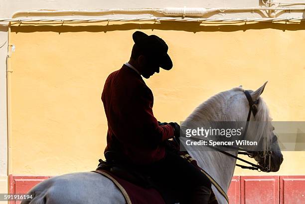 Spanish Horseman riding through Córdoba