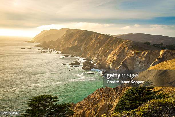 pacific cliffs - küstenschutzgebiet point reyes stock-fotos und bilder