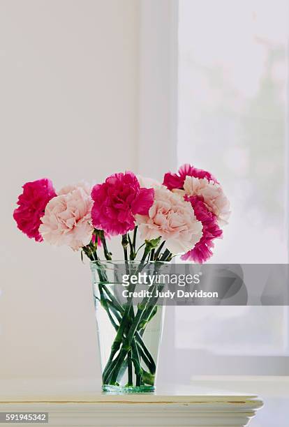 green glass full of pink carnations on dresser near window - carnation flower stock pictures, royalty-free photos & images