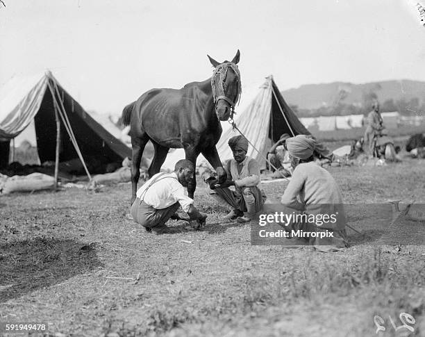 Blacksmith of the 3rd Lahore Indian Division seen here inspecting the companies horses, preparing them for the front. 30th September 1914