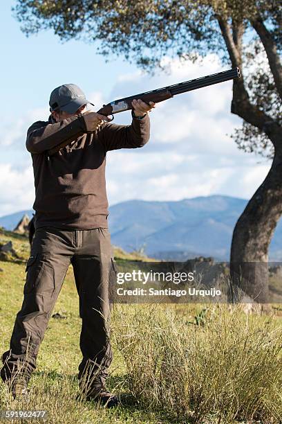 Point Partridge 106 Point Partridge Stock Photos, High-Res Pictures, and Images - Getty ...