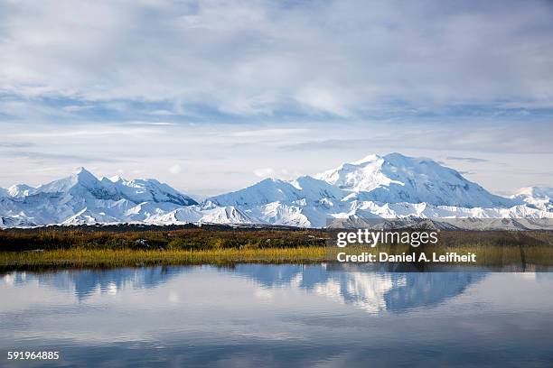 denali reflection in tundra pond - alaska mountain range stock pictures, royalty-free photos & images