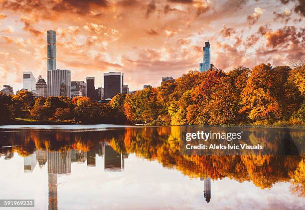 golden autumn days - autumn in new york foto e immagini stock