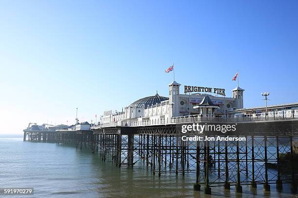 brighton pier - palace pier fotografías e imágenes de stock