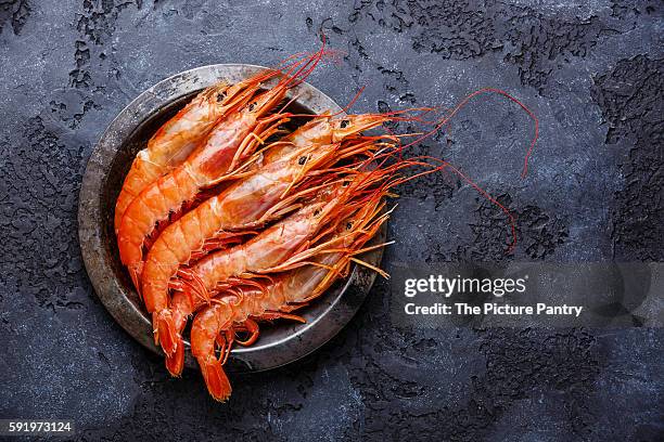 raw fresh prawns langostino austral on metal plate on black background - colossal shrimp raw stock pictures, royalty-free photos & images