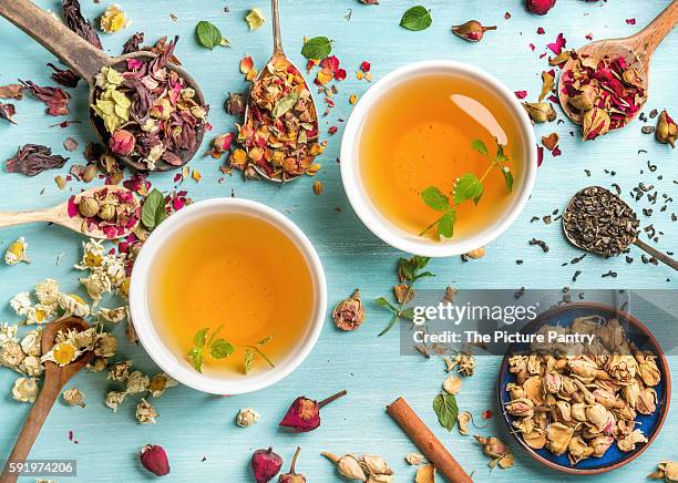 two cups of healthy herbal tea with mint, cinnamon, dried rose and camomile flowers in spoons over blue background - camomille bildbanksfoton och bilder