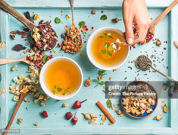 two cups of healthy herbal tea with mint, cinnamon, dried rose and camomile flowers in spoons and man's hand holding spoon of honey - camomille stock pictures, royalty-free photos & images