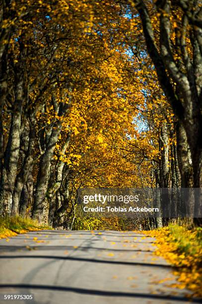 35 A832 Road Stock Photos, HighRes Pictures, and Images Getty Images