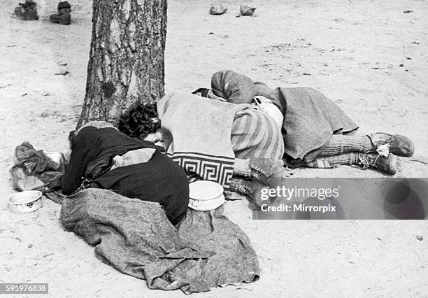 Former prisoners of Bergen Belsen concentration camp, too weak to walk, rest by a tree in the camp after it was liberated by the forces of the...