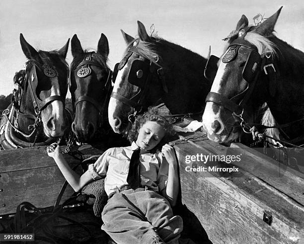 Member of the Women's Land Army a sleep in the back of a hay cart while the horses look on. October 1948 P004855