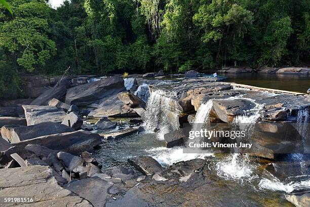 champasak waterfall lao - meseta de bolaven fotografías e imágenes de stock