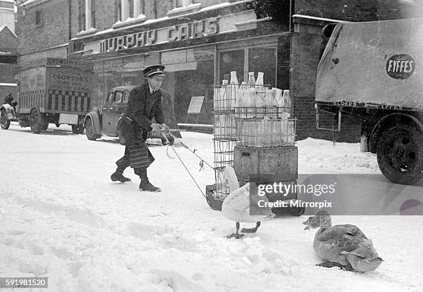 The heavy fall of snow overnight sees the milkman delivering his milk by sledge, as two swans look on with amusement. January 1940