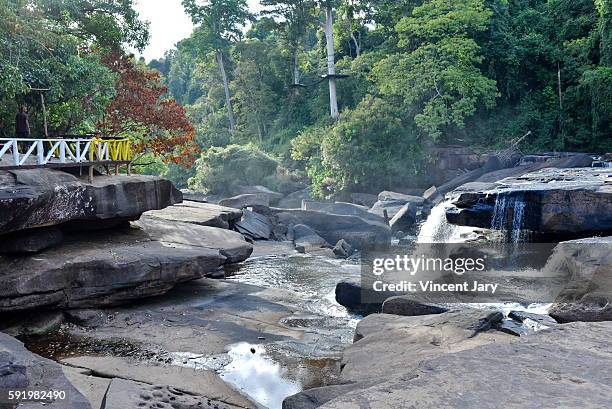 tad koi champasak waterfall laos - meseta de bolaven fotografías e imágenes de stock