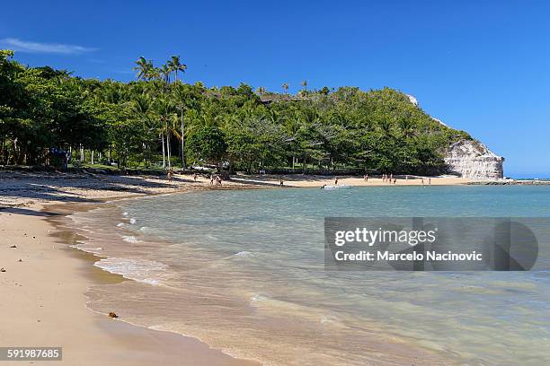 praia do espelho in trancoso - espelho stock pictures, royalty-free photos & images