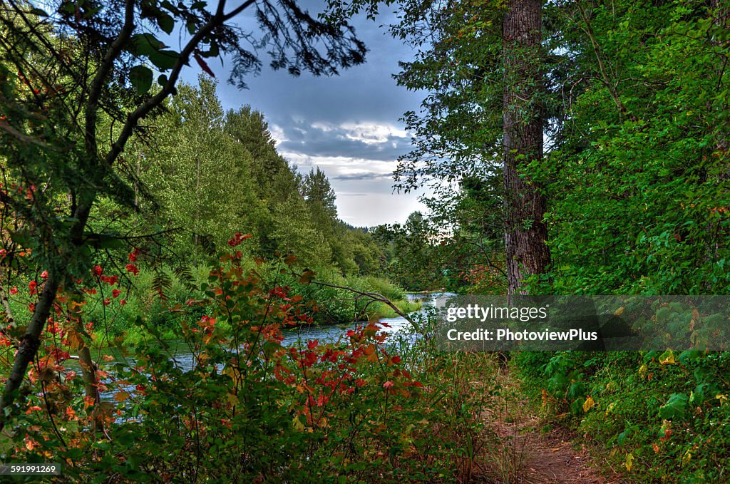 A glimpse of the River