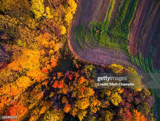 Aerial of Autumn woods and farm fields