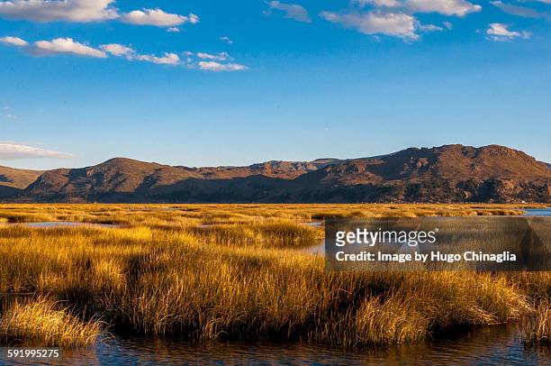 titicaca lake, near puno, peru - uroseilanden stockfoto's en -beelden