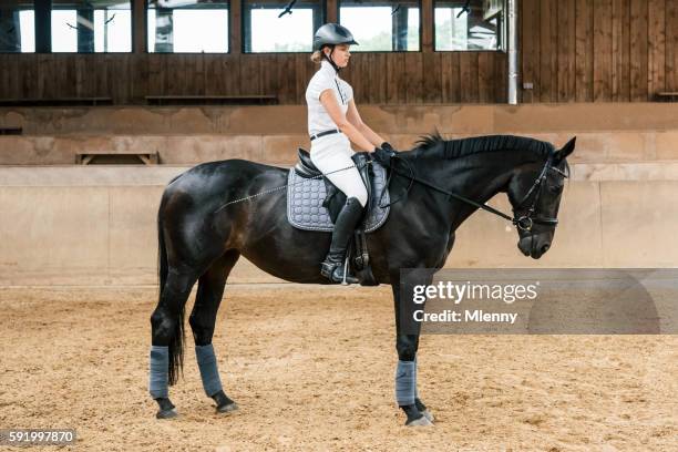 equestrian hall teenage girl dressage riding - equestrian individual dressage stock pictures, royalty-free photos & images