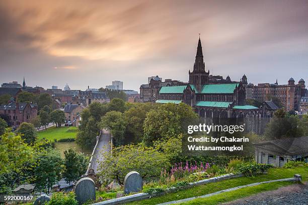 the glasgow cathedral - garden tomb stock pictures, royalty-free photos & images