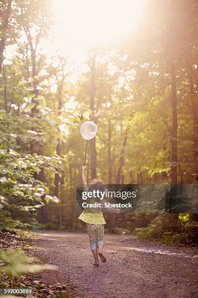 girl playing with butterfly net in forest - catching butterfly stock pictures, royalty-free photos & images