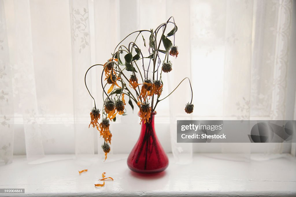 Bouquet of wilting flowers in windowsill