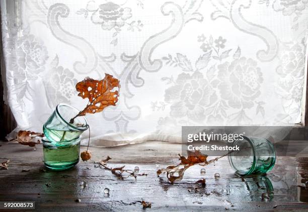 autumn leaves in broken glass vase - broken vase stock pictures, royalty-free photos & images