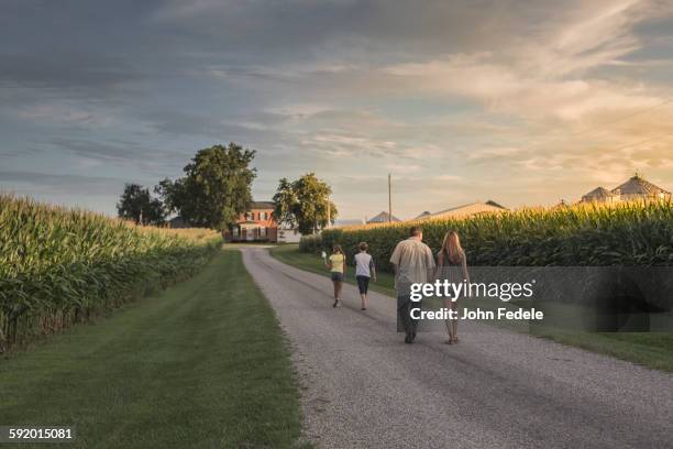 caucasian family walking on dirt path by corn field - región central de eeuu fotografías e imágenes de stock