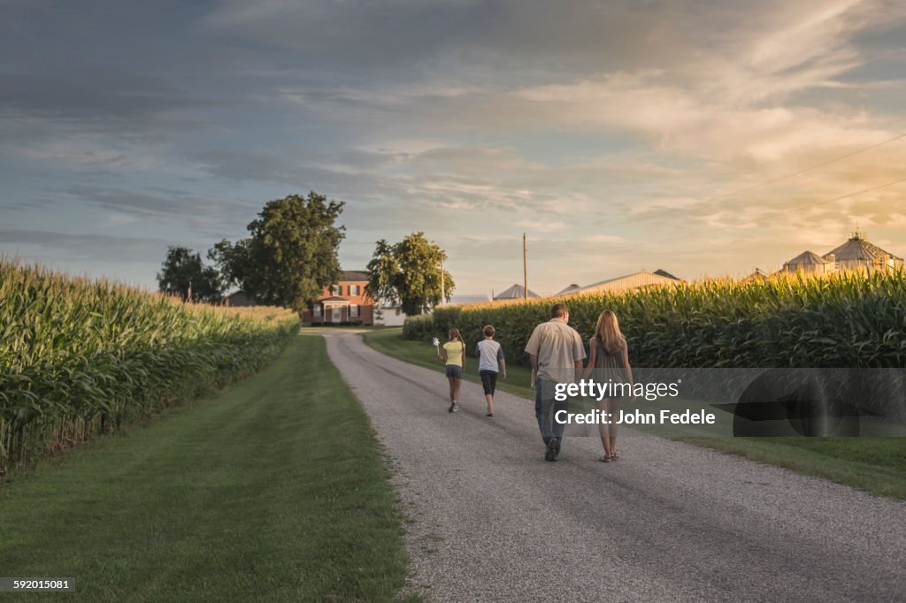 Caucasian family walking on dirt path by corn field