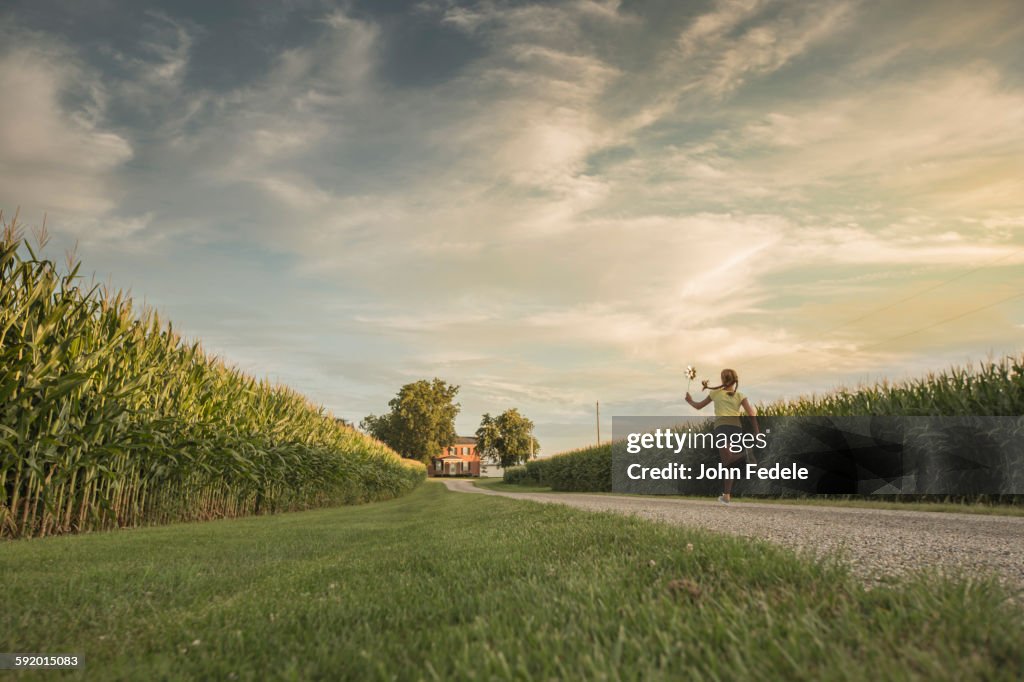 Caucasian girl walking on dirt path by corn field