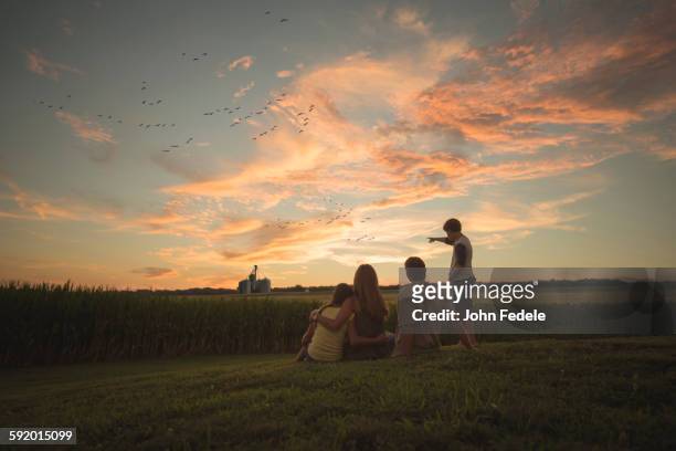 caucasian family admiring corn fields at sunset - family sunset stock pictures, royalty-free photos & images