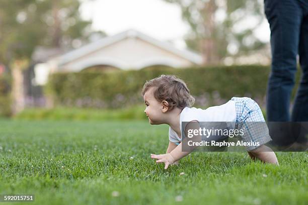 side view of baby boy crawling on grass - santa clarita stock pictures, royalty-free photos & images