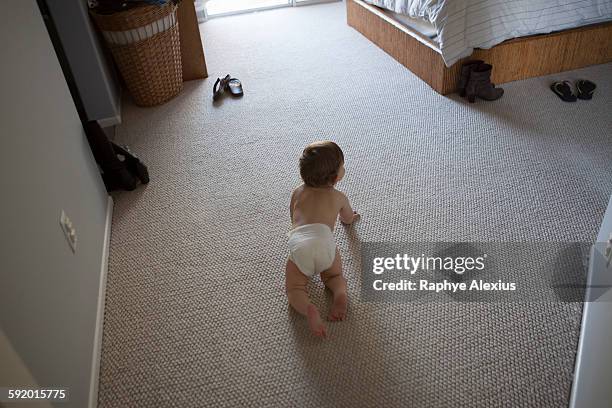 high angle rear view of baby boy wearing nappy crawling on carpet in bedroom - santa clarita stock pictures, royalty-free photos & images