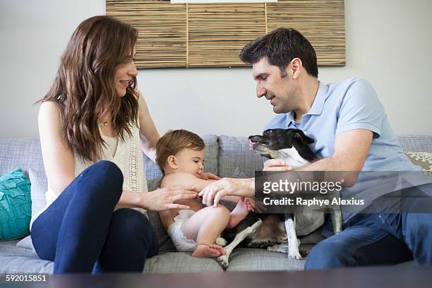 family with baby boy sitting on sofa playing with dog - santa clarita stock pictures, royalty-free photos & images
