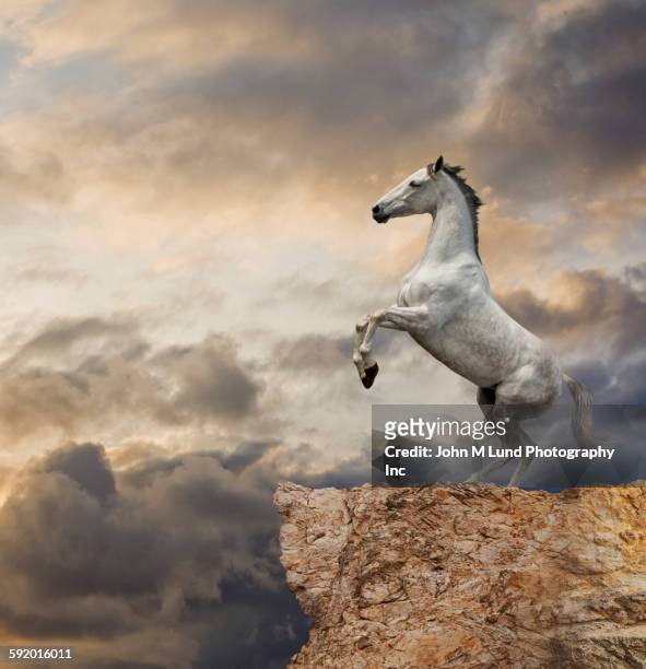 horse rearing up at cliff edge - horse rearing up stockfoto's en -beelden