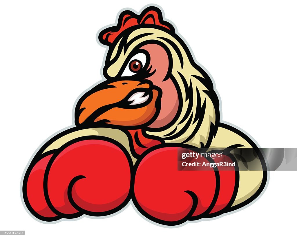 Rooster Boxer