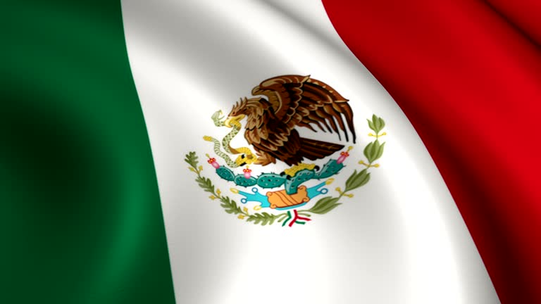 1 101点のメキシコ国旗のビデオクリップ 映像 Getty Images 1 101点のメキシコ国旗のビデオクリップ 映像 Getty Images